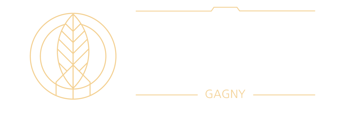 logo Programme les villas du Raincy